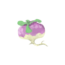 turnip.png