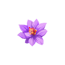 violet_lotus.png