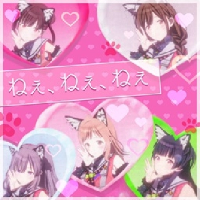 jacket.webp jacket.webp