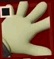 gloves003.jpg