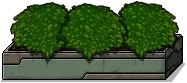 Planter.png