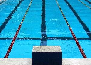 img_1731668567.jpg