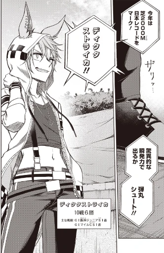 ディクタストライカ 1.jpg