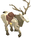 Animal_Horse_03.png