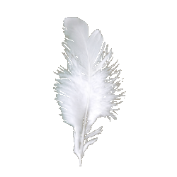 グリフォンの羽根 グリフォンの羽根