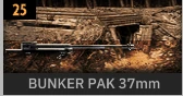 BUNKER PAK 37mm.PNG