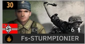Fs-STURMPIONIER_GER.PNG Fs-STURMPIONIER_GER.PNG