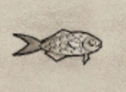 魚6.jpg
