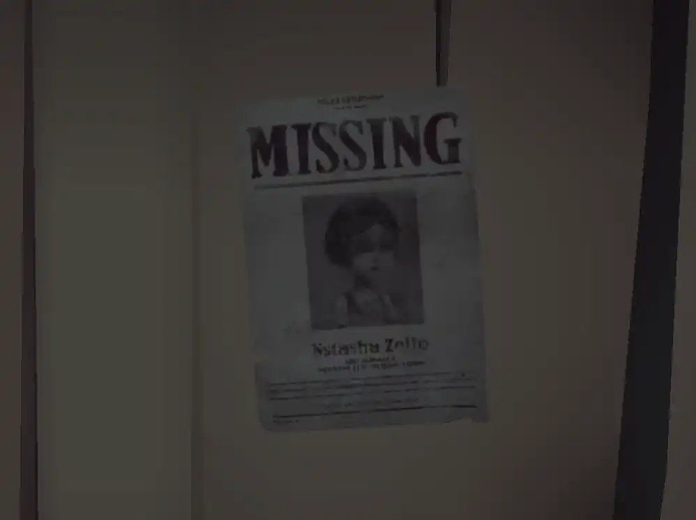 踊り子写真.jpg 踊り子写真.jpg