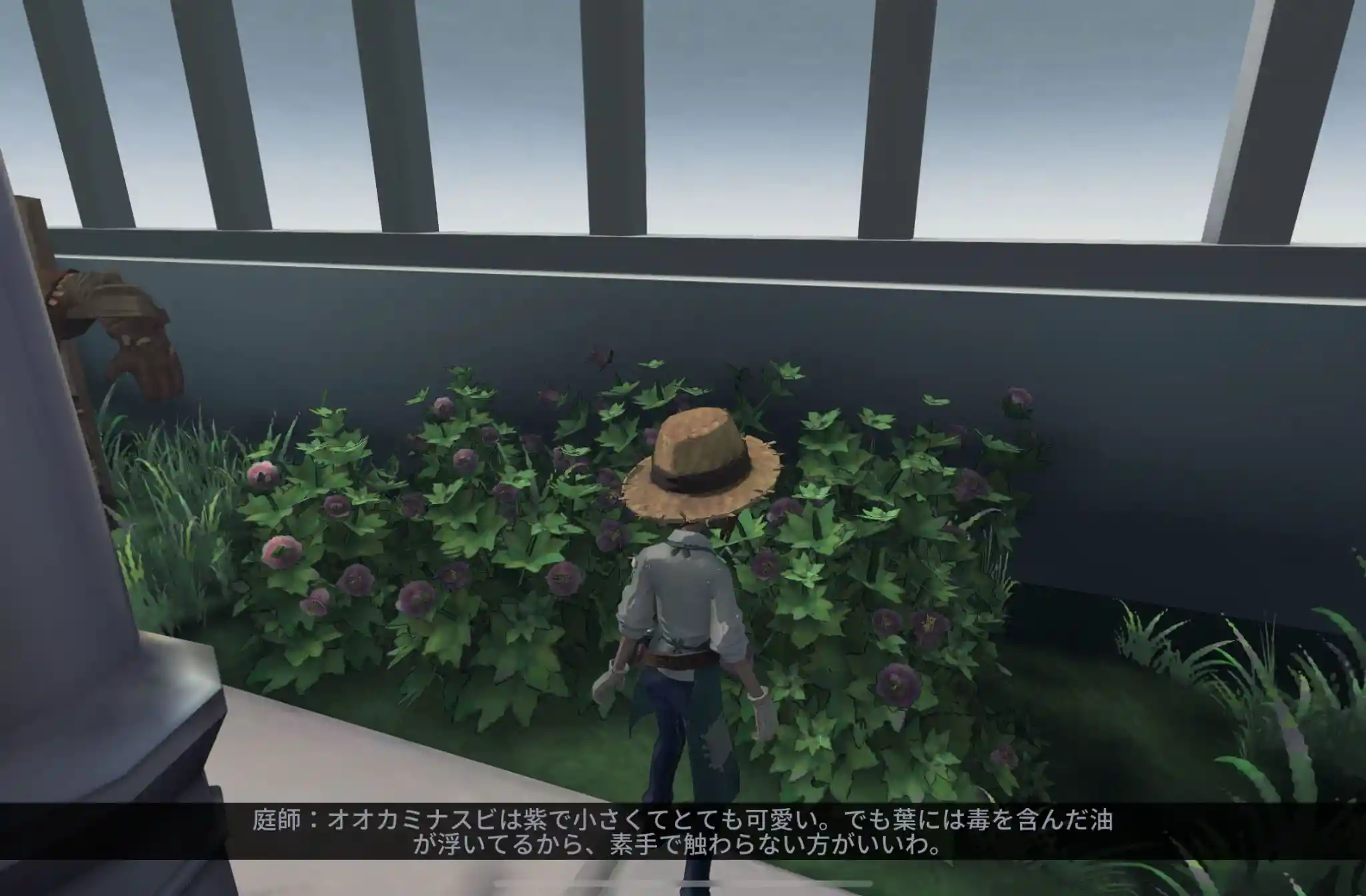 庭師日記17.jpg 庭師日記17.jpg