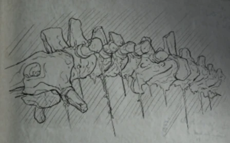 遺跡の回廊3.jpg 遺跡の回廊3.jpg