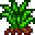 Grass_Starter.png