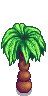 Palm_Stage_5.png