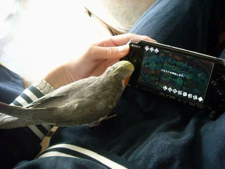 DSCN1053_0.JPG DSCN1053_0.JPG