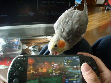 DSCN1054_0.JPG DSCN1054_0.JPG