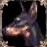 ドーベルマン.GIF