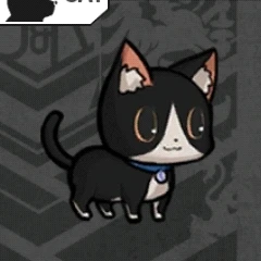 家猫(黒).jpg