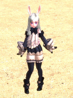 TERA_ScreenShot_20120212_000247.jpg