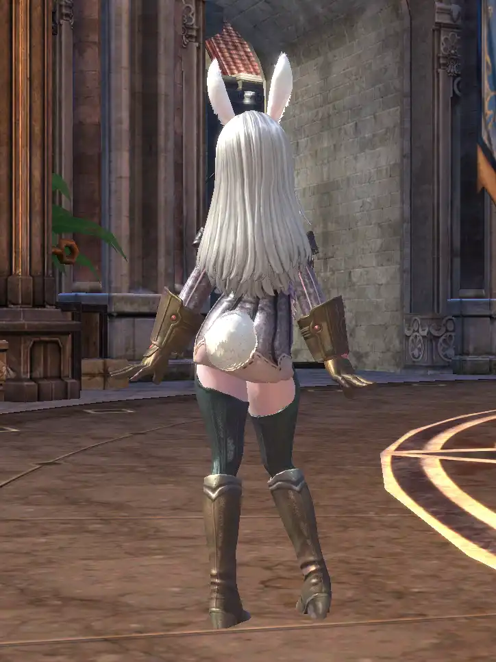 TERA_ScreenShot_20120221_220645_0.jpg