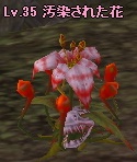 汚染された花.jpg
