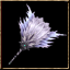 魃.gif 魃.gif