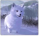 300px-Species_arctic_fox.png