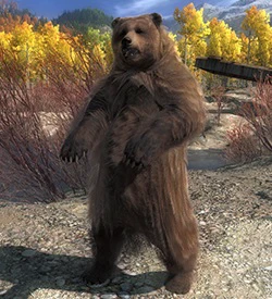 Grizzly.jpg