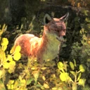 Red Fox.png