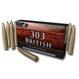ammo_303.png