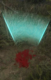 BloodTrail.png