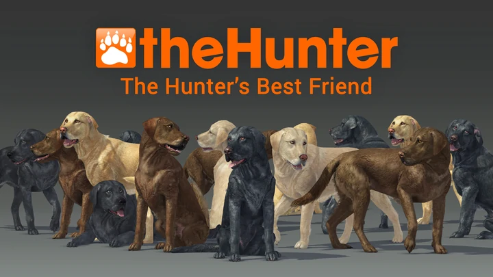 Classic 猟犬 Thehunter 攻略 Wiki