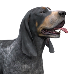 Classic 猟犬 Thehunter 攻略 Wiki Classic 猟犬 Thehunter 攻略 Wiki