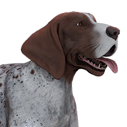 Classic 猟犬 Thehunter 攻略 Wiki