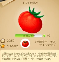 46トマトの恵み2.png