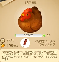 243福島伊達鶏2.png