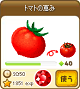 No.46トマトの恵み