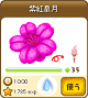 No.76紫紅皐月
