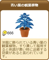 439青い葉の観葉植物.png