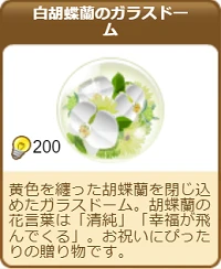 810白胡蝶蘭のガラスドーム.png