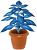 No439青い葉の観葉植物