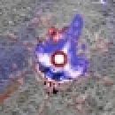 bird.jpg bird.jpg