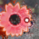 flower1.jpg flower1.jpg