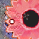 flower2.jpg flower2.jpg
