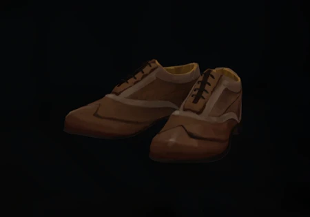 Feet_Outer_LEATHER_SHOES.png