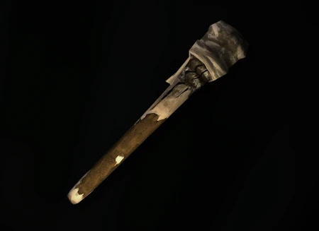 TORCH.png