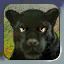 panther.jpg panther.jpg