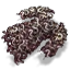 worm_nest.png