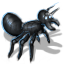 black_ant.png
