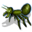 green_ant.png