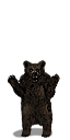 grizzly_bear.png
